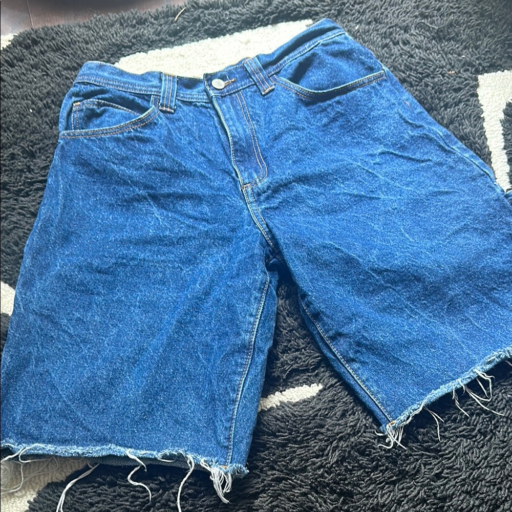 Brandy Melville Blue Denim Denim Shorts
